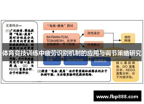体育竞技训练中疲劳识别机制的应用与调节策略研究