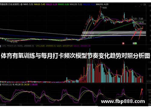 体育有氧训练与每月打卡频次模型节奏变化趋势对照分析图